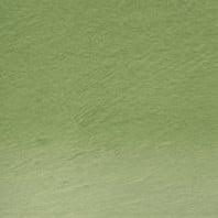 Procolour 50 Moss Green